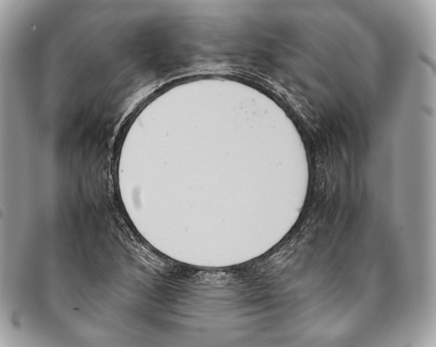 X0000095891168200802081111