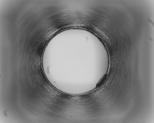 X0000095891169200802081111