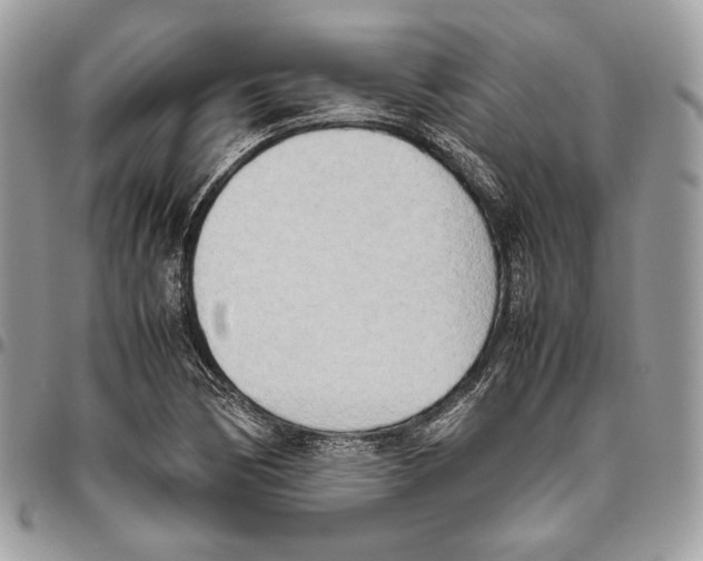 X0000095891170200802081111