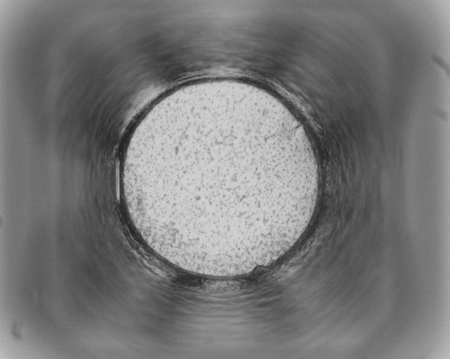 X0000095891171200802081111