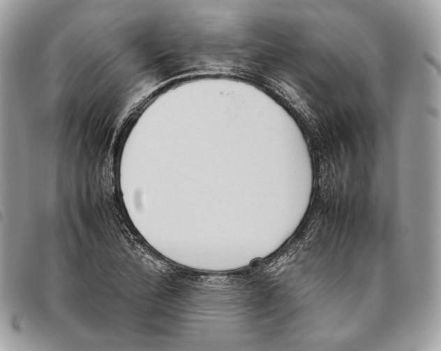 X0000095891172200802081111
