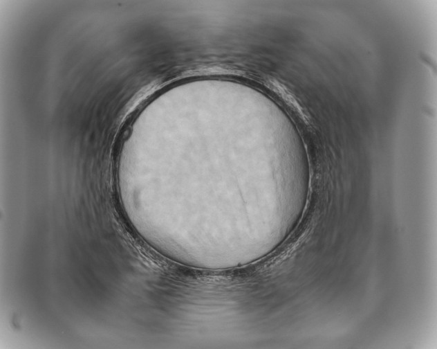 X0000095891173200802081111