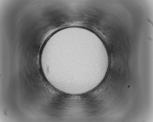 X0000095891174200802081111