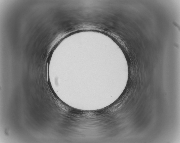 X0000095891175200802081111