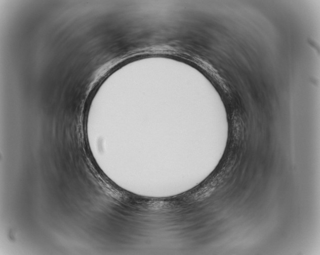 X0000095891176200802081111
