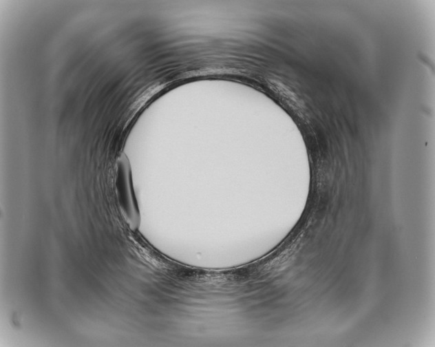 X0000095891177200802081111