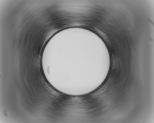 X0000095891178200802081111