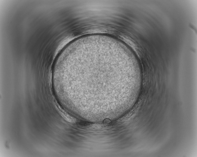 X0000095891179200802081111