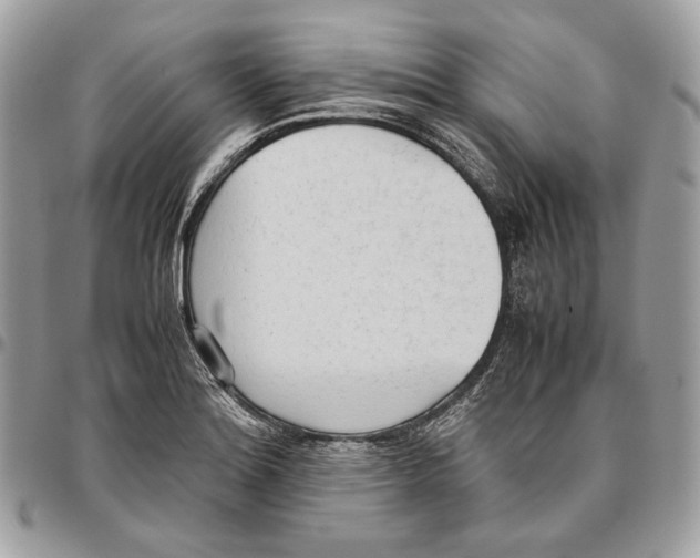 X0000095891180200802081111