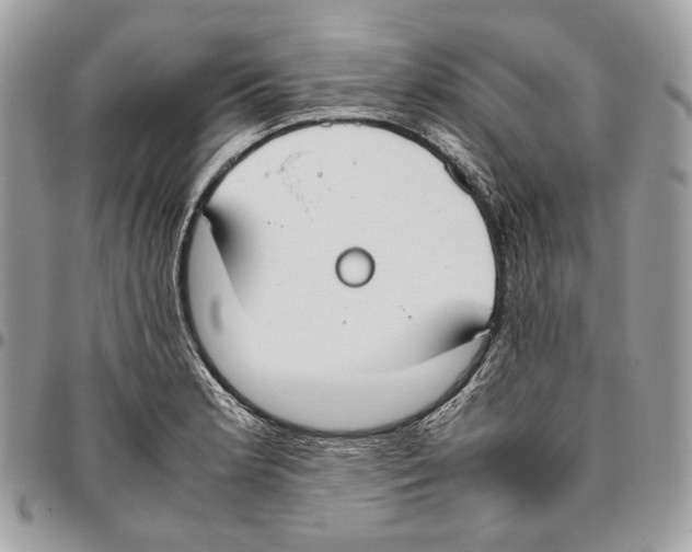 X0000095891181200802081110