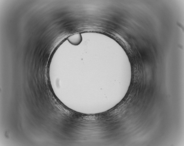 X0000095891182200802081110