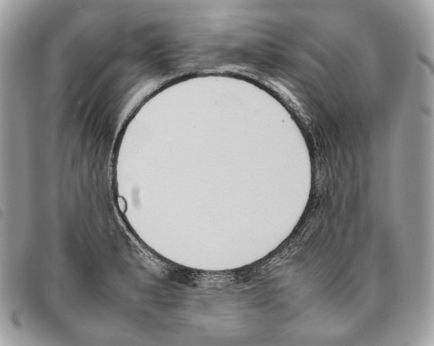 X0000095891183200802081110