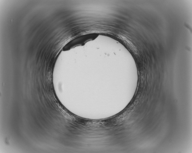X0000095891185200802081110