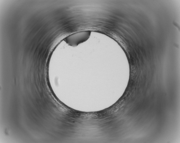 X0000095891187200802081110