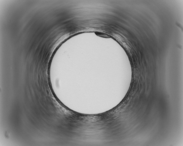 X0000095891189200802081110