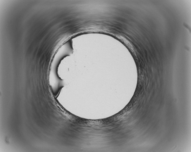 X0000095891191200802081110