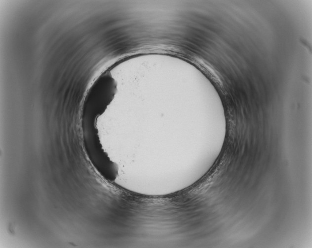 X0000095891192200802081110