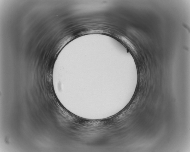X0000095891193200802081110