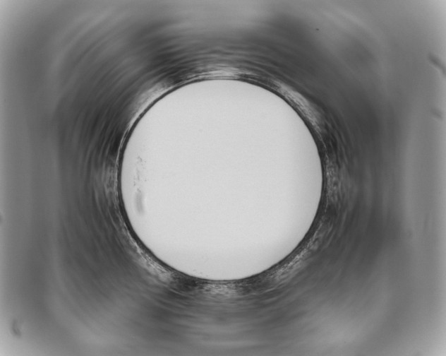 X0000095891194200802081110