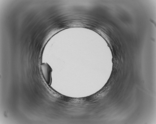 X0000095891195200802081110