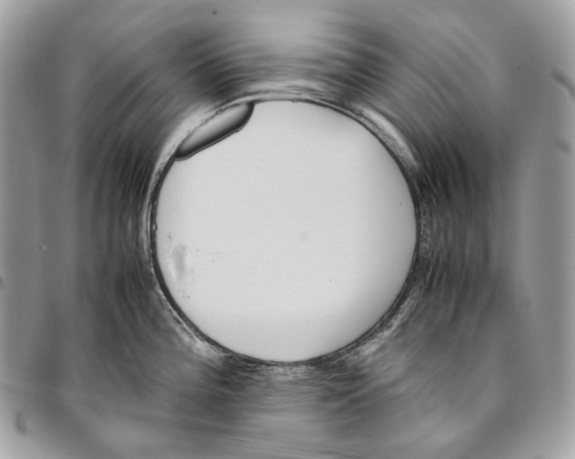 X0000095891196200802081110