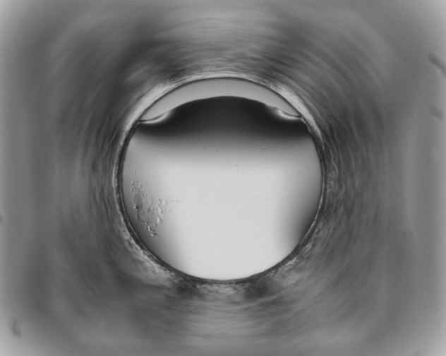 X0000095891197200802081110