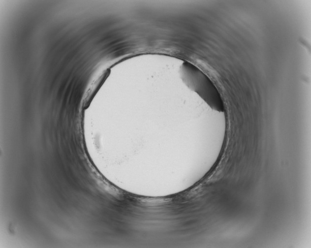 X0000095891200200802081110