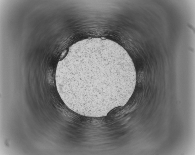 X0000095891202200802081109