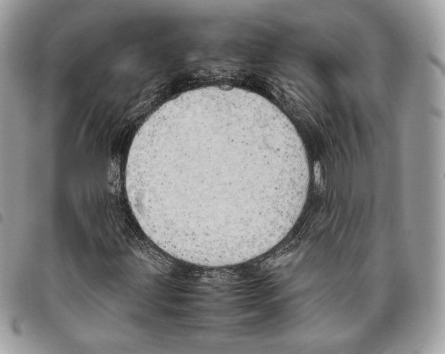 X0000095891203200802081109