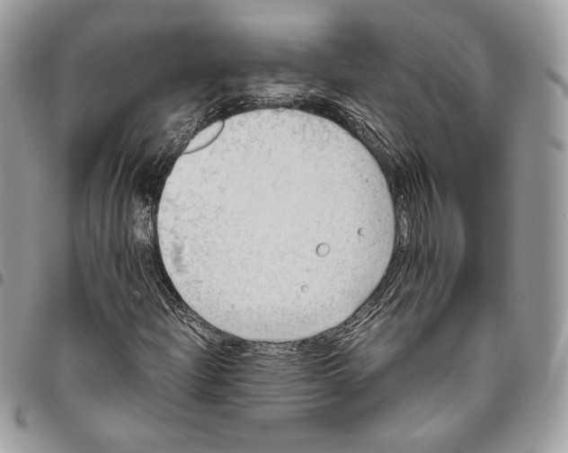 X0000095891204200802081109