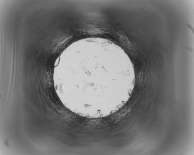 X0000095891205200802081109
