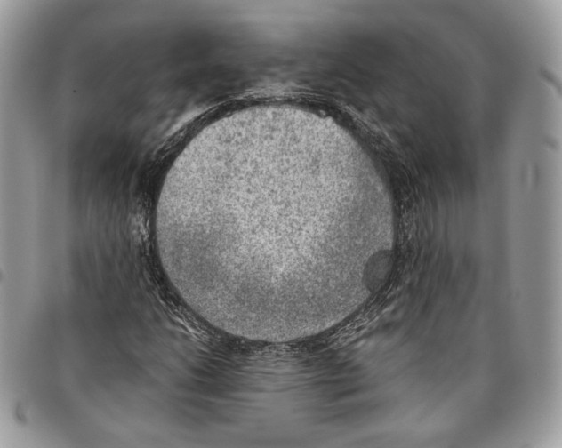 X0000095891206200802081109