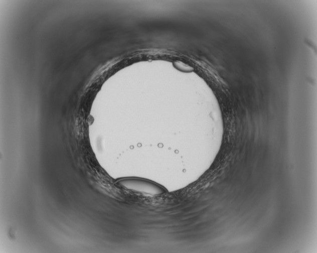 X0000095891207200802081110