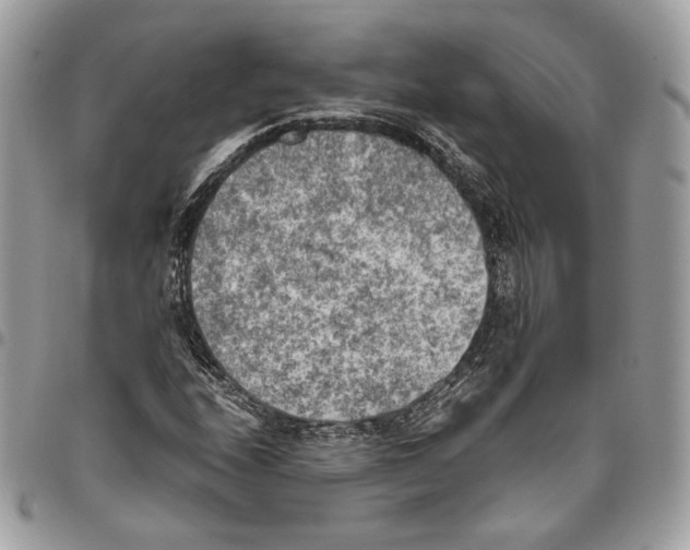 X0000095891208200802081110