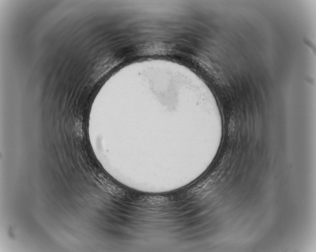 X0000095891209200802081110