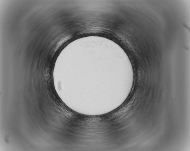X0000095891210200802081110