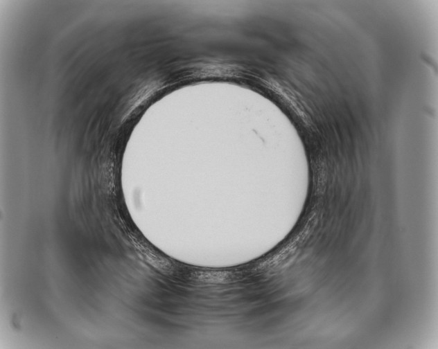 X0000095891211200802081110