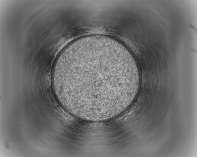 X0000095891212200802081110