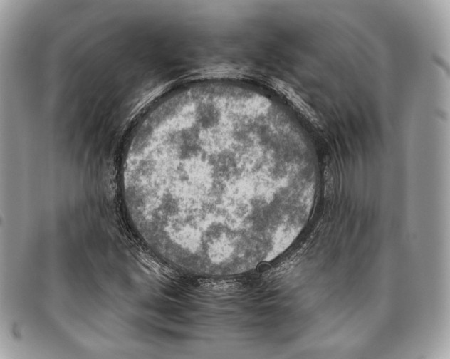 X0000095891213200802081110