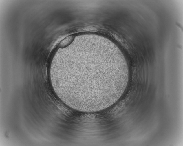 X0000095891214200802081110