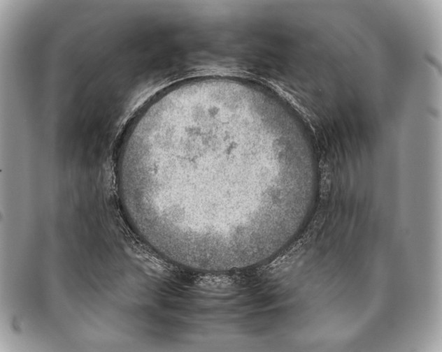 X0000095891215200802081110