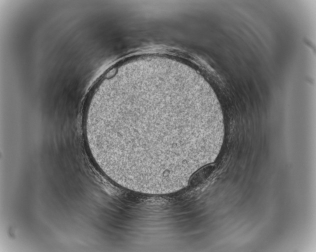 X0000095891216200802081110