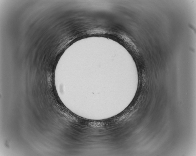 X0000095891217200802081110