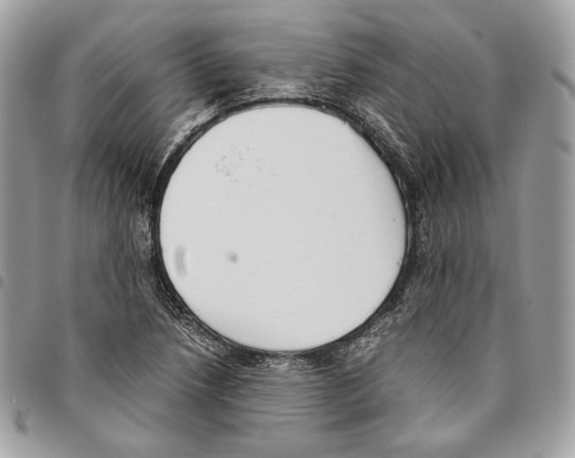 X0000095891218200802081110