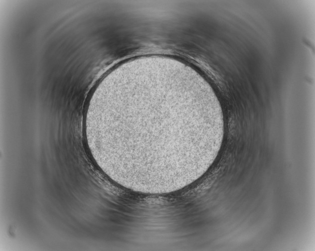 X0000095891220200802081110