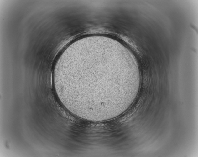 X0000095891221200802081110