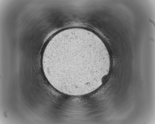 X0000095891222200802081110