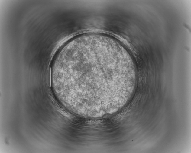 X0000095891223200802081110