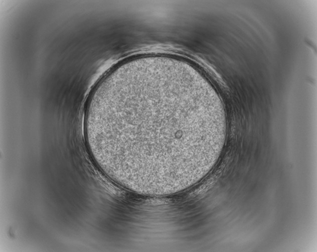 X0000095891224200802081110