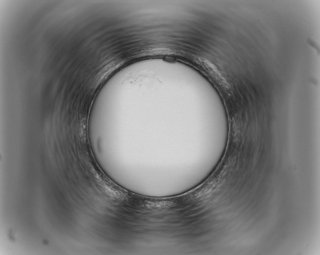 X0000095891225200802081110